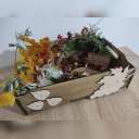 Lăzi din placaj - lemn de mesteacan ( PG-5JAINXIC4Z8 ) [photo_01]